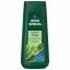 Irish Spring Original Clean Body Wash for Men 591ml এর ছবি